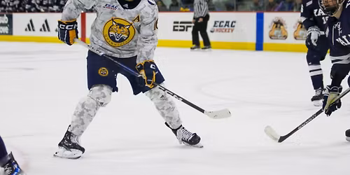 Quinnipiac Bobcats at Cornell Big Red Mens Hockey at Lynah Rink
