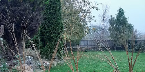 Willow Christmas Reindeer Workshop