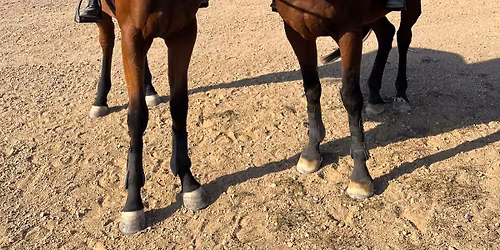 Hunter Jumper Schooling Show 3