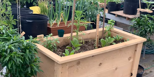 Build a Raised Garden Bed