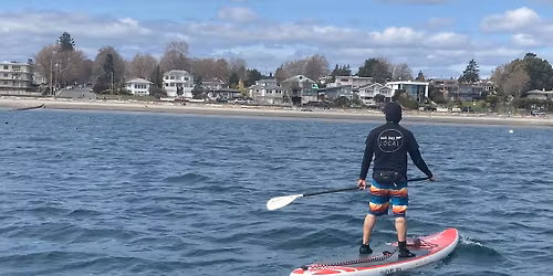 Stephanie Greaves & Friends for Christmas!