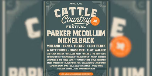 Black Pistol Fire (16+)