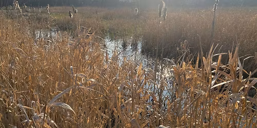Town to  Marsh 'n Back