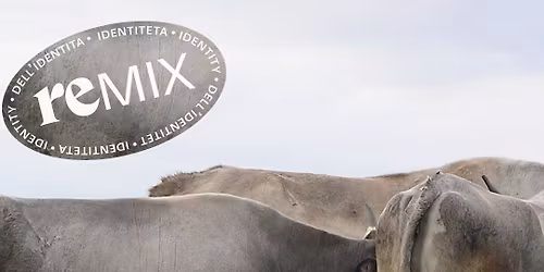 Remiks identiteta 10 \u2013 natje\u010daj za remiks tradicijske glazbe i glazbe nacionalnih manjina u Istri