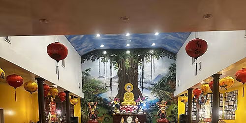 Meditation  Series |  Total Body Relaxation