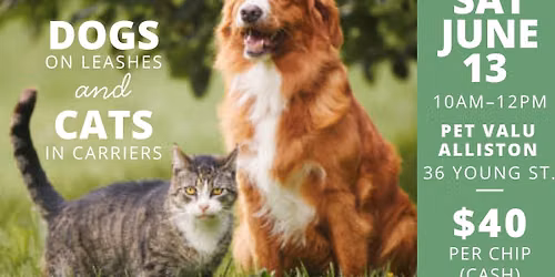 Microchip Clinic