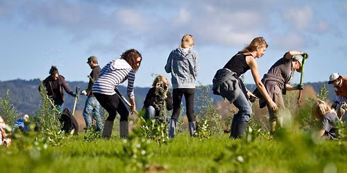 Waterview Glades - R\u0101 Whakato \/ Planting Day 2026