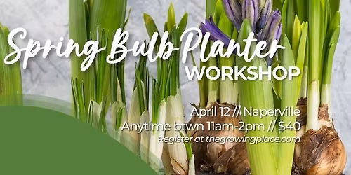 Spring Bulb Planter Workshop - Naperville