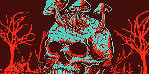 World of Chaos\/Ametropia\/Tempting the Tides\/Meathook Massacre at The Outlook