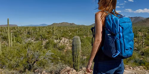 Essentials for Your Desert Hike