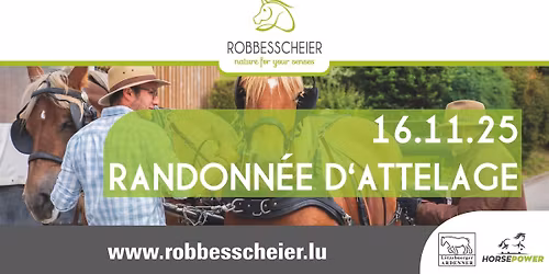 16.11.2025 - Randonn\u00e9e d'attelage \/ Kutschfahrt