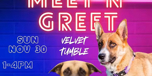Meet N’ Greet