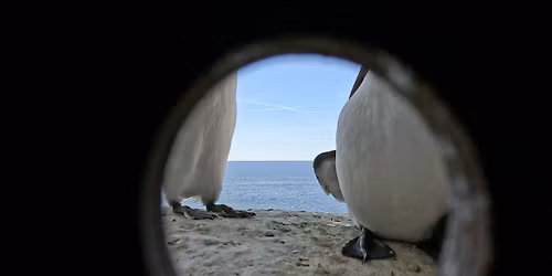 Un canto del peque\u00f1o mar - Helle Siljeholm