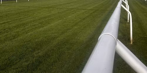 Carlisle Racecourse Equestrian Tack Sale 