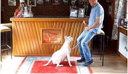 BREED APPRECIATION DAY