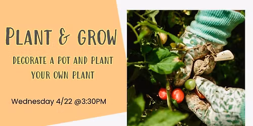 Mini Makers: Plant & Grow