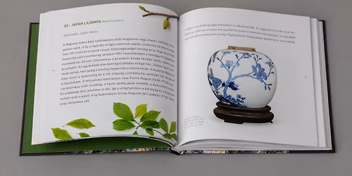 K\u00d6NYVBEMUTAT\u00d3 | GINKGO \u00c9S T\u00c1RSAI. A Hopp\u2013kert n\u00f6v\u00e9nyei