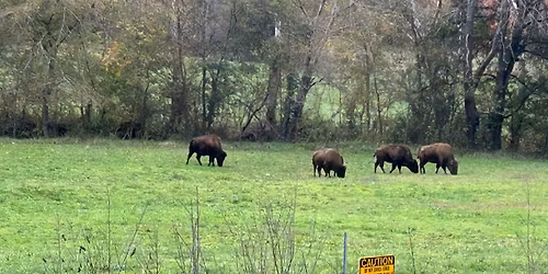 Instructor Presentations at Board Meeting