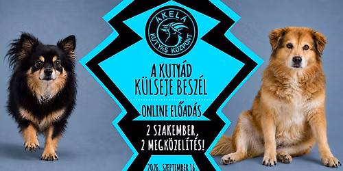 A KUTY\u00c1D K\u00dcLSEJE BESZ\u00c9L \u2013 Miket mutat meg a kuty\u00e1d teste?