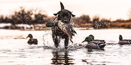 Fall Hunting Classic: Adult Giveaway