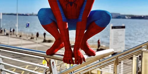 Meet and Greet Spider-man
