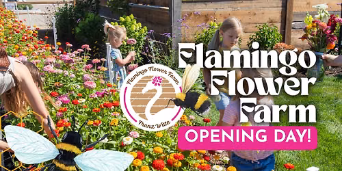 Bee Festival at the Flamingo Flower Farm! \ud83d\udc1d