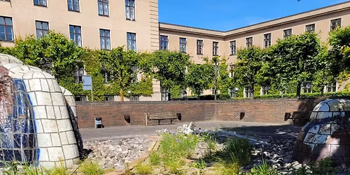 Vild med Vilje med Charlotteklubben og Gr\u00f8n Guide