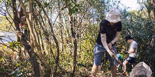 Green Bay Stream Care Session