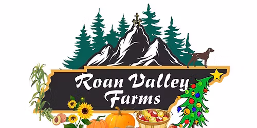 Fall In The Valley