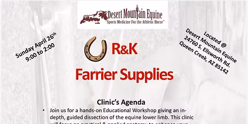 Lower Limb Dissection Workshop\/Clinic 