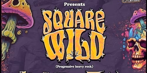 Square Wild + support at Albert\u2019s Shed