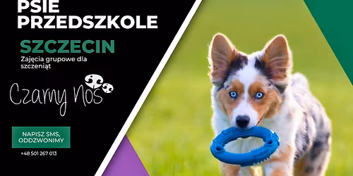 PSIE PRZEDSZKOLE Szczecin