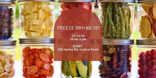 Freeze Drying 101