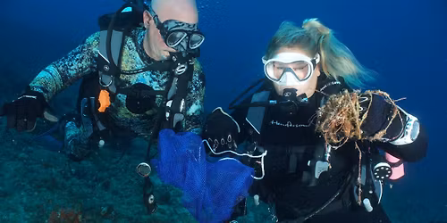 Beach Sweep Cleanup Dive
