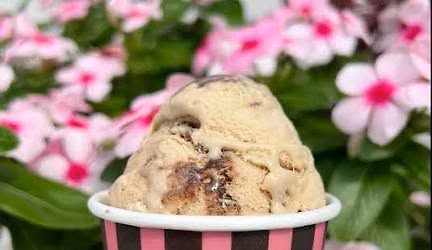 Plush Horse Ice Cream Social, YES! 8.3.2026