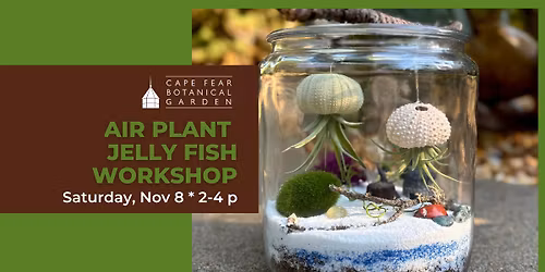 Air Plant Jelly Fish Workshop at the Garden