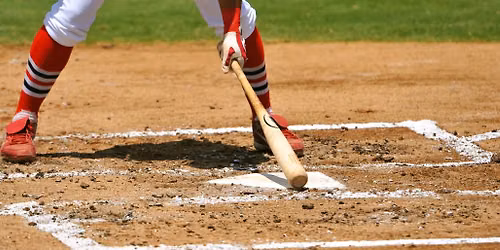 Columbia Fireflies vs. Salem RidgeYaks