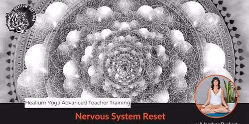 Nervous System Reset