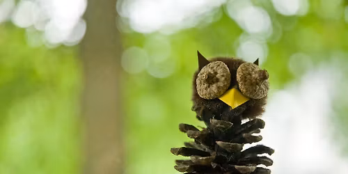 Nature Critter Crafty Fun