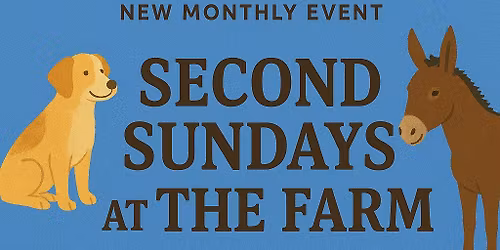 Community Service Sunday