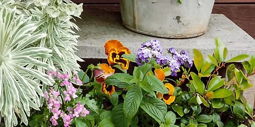 Pots, Petals & Pizza Evening