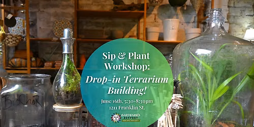 Sip & Plant  Workshop: Drop-in Terrarium Building!