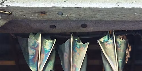 Copper class - bats! at the Vineyard at Hershey