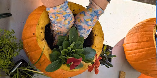 Garden For Life Kids Club: Mini Pumpkin Planters.