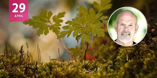 Trivselsboost - I samarbejde med Arne Wesenberg