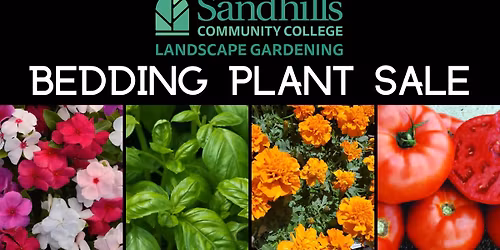 2026 SCC Landscape Gardening Bedding Plant Sale