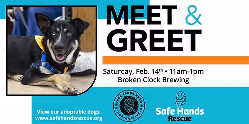 Safe Hands Rescue Meet & Greet at Broken Clock Brewing