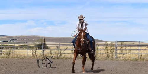 Working Ranch Horse clinic