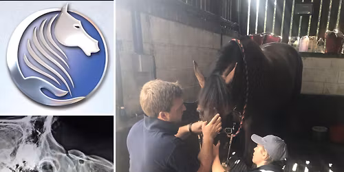 WARWICKSHIRE - Osteopathic Treatment Clinic