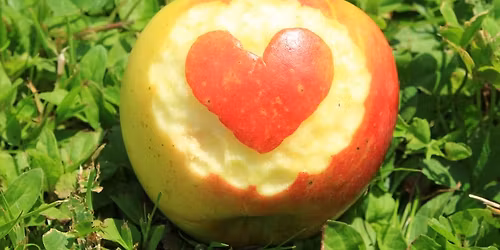 Feierabendmarkt Herzogenaurach